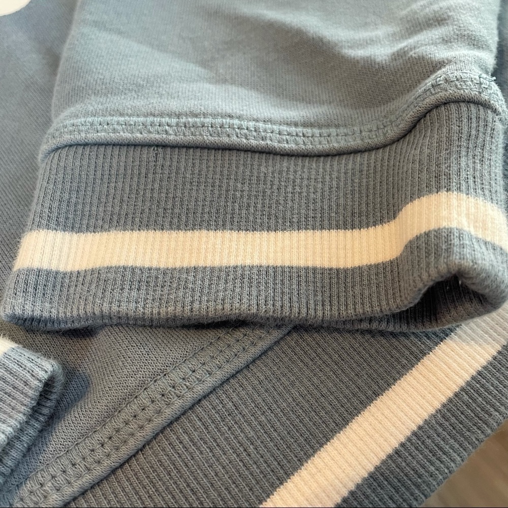 Adidas Active Icons Cropped Slate Blue Hoodie - Picture 10 of 11